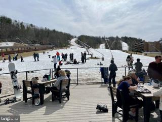 BRYCE  MOUNTAIN - Land