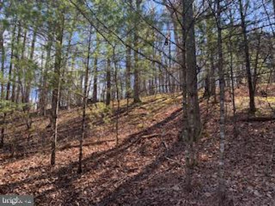 Great Bryce Mountain lot on Fairway Drive. Mature treed lot gently sloping to the road.  Some elevation to give a home a bit of a winter mountain view through the trees.