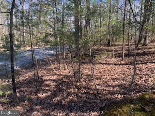 BRYCE  MOUNTAIN - Land