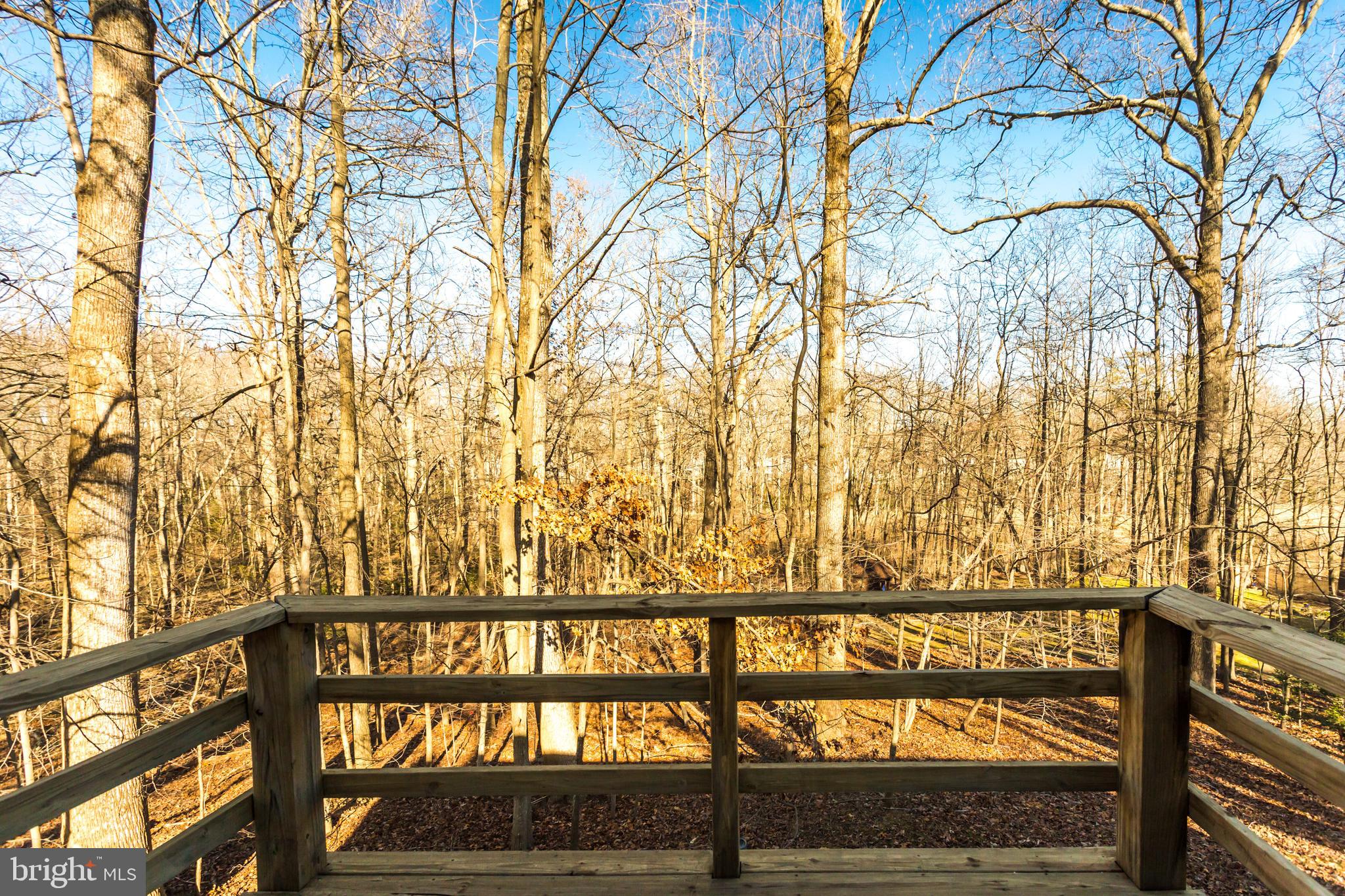 WALNUT LAKE - Residential