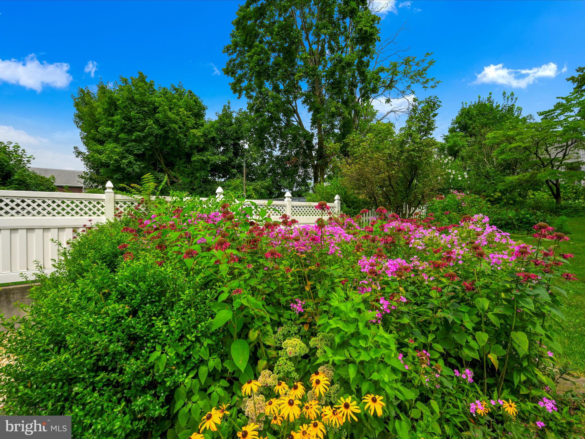 SCHUYLKILL HAVEN - Residential