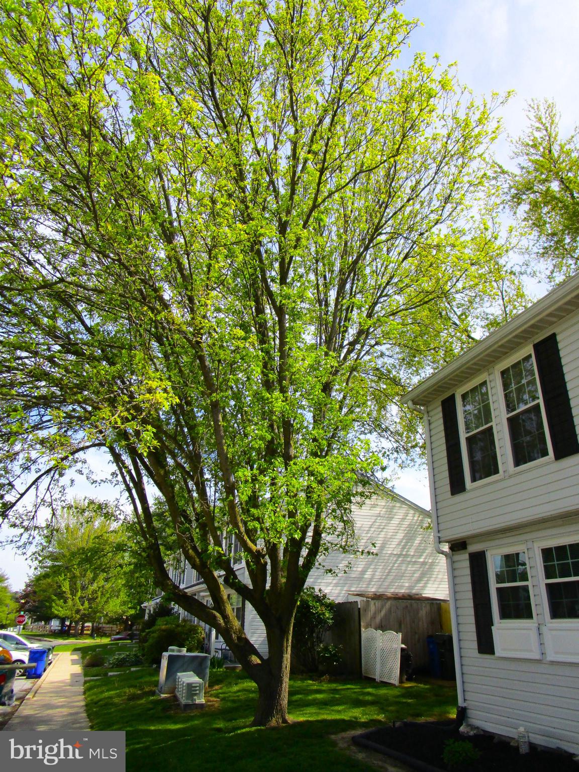 LANGLEY EAST - Residential