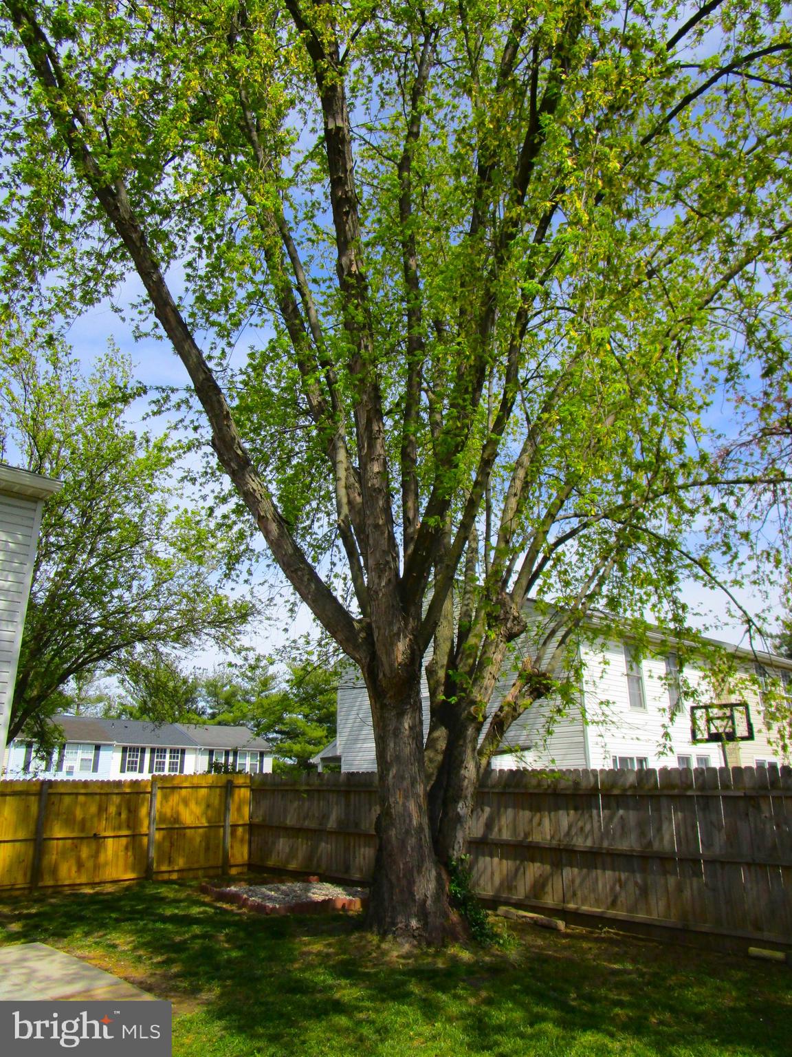 LANGLEY EAST - Residential