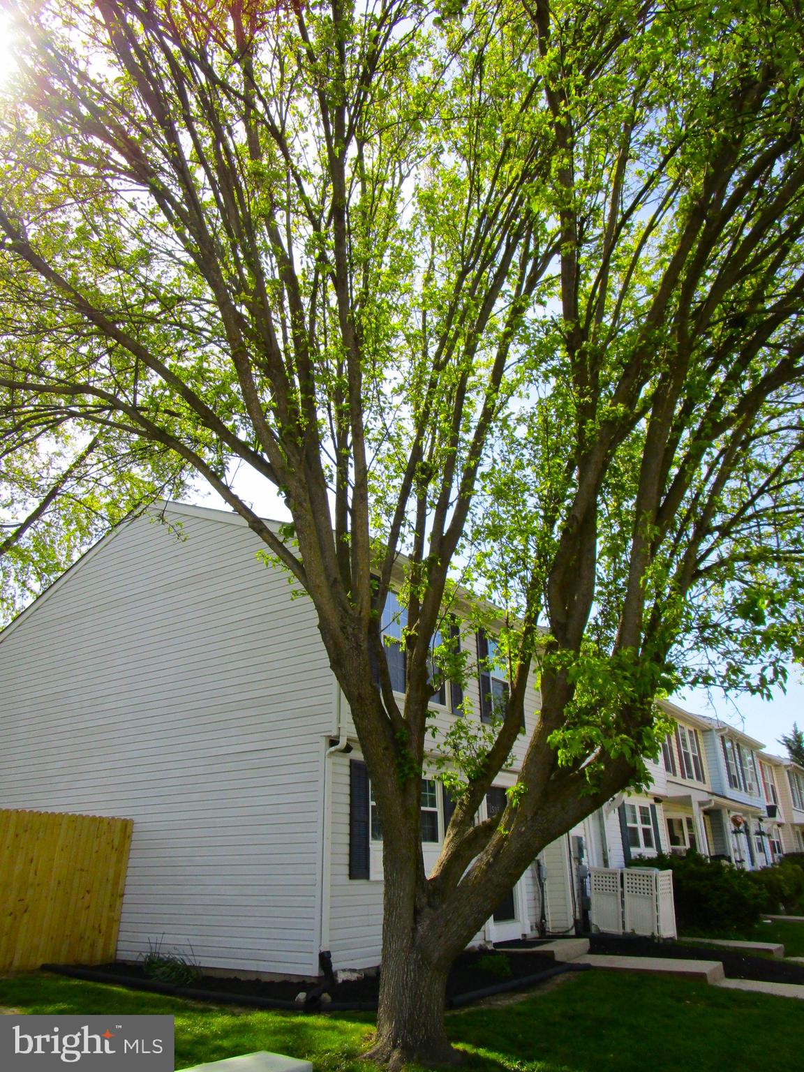 LANGLEY EAST - Residential