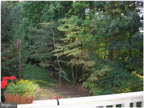 RESTON - Residential Lease