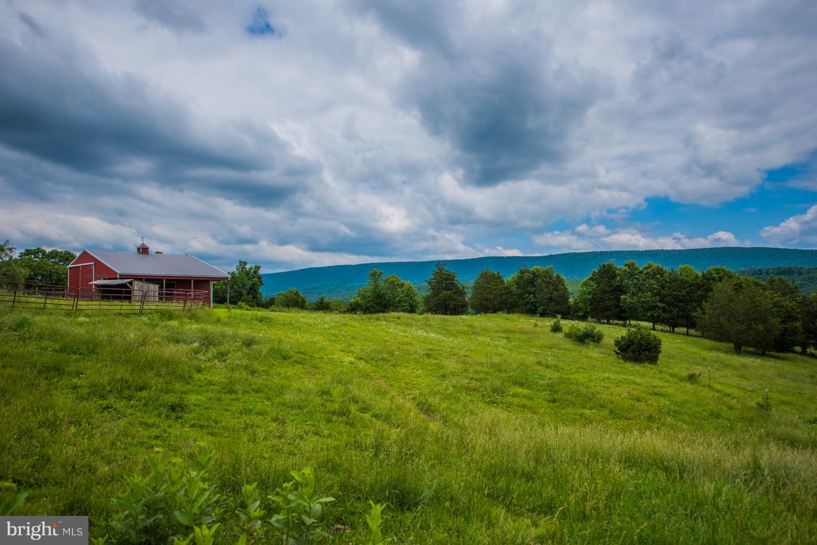 NONE AVAILABLE - Farm