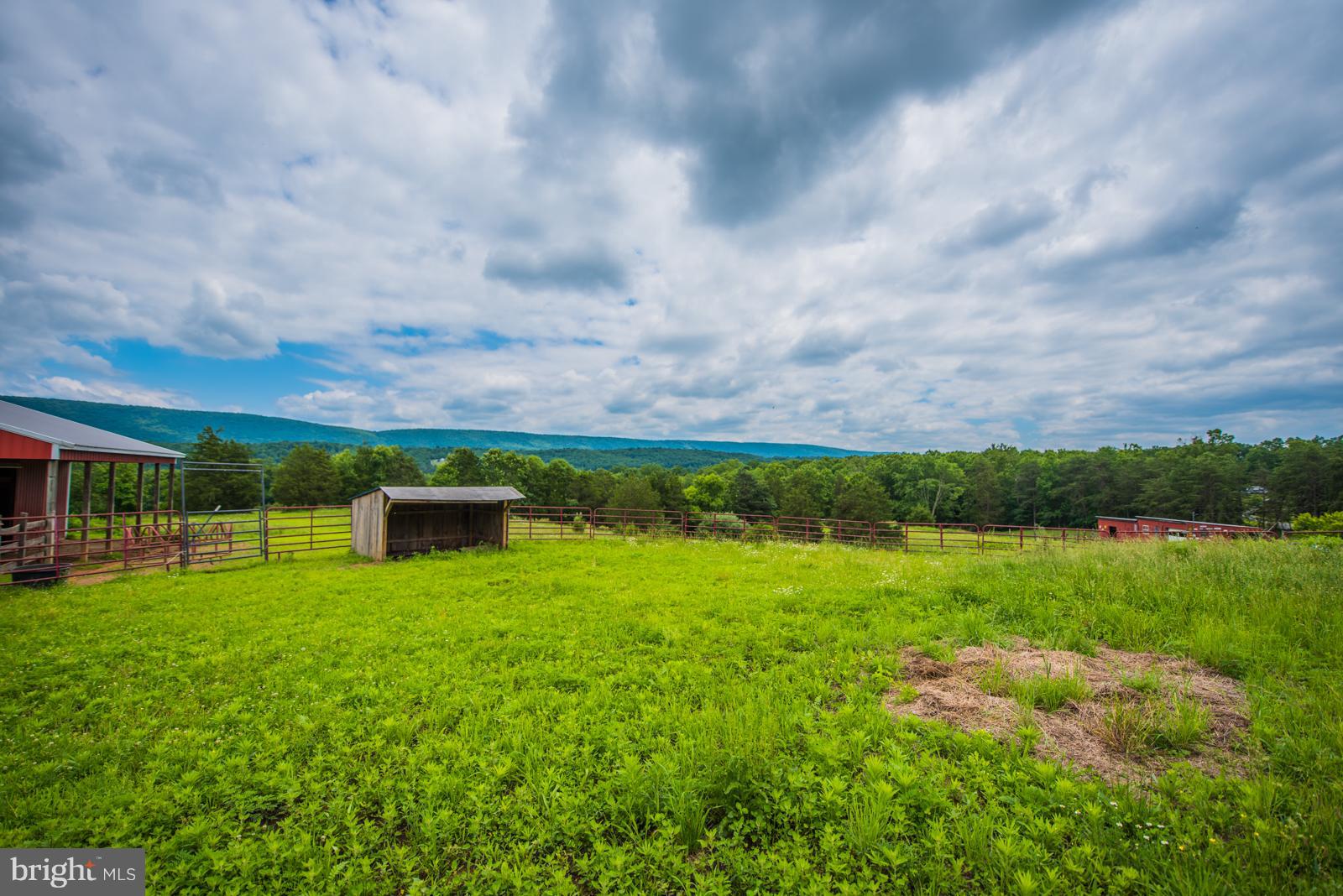 NONE AVAILABLE - Farm