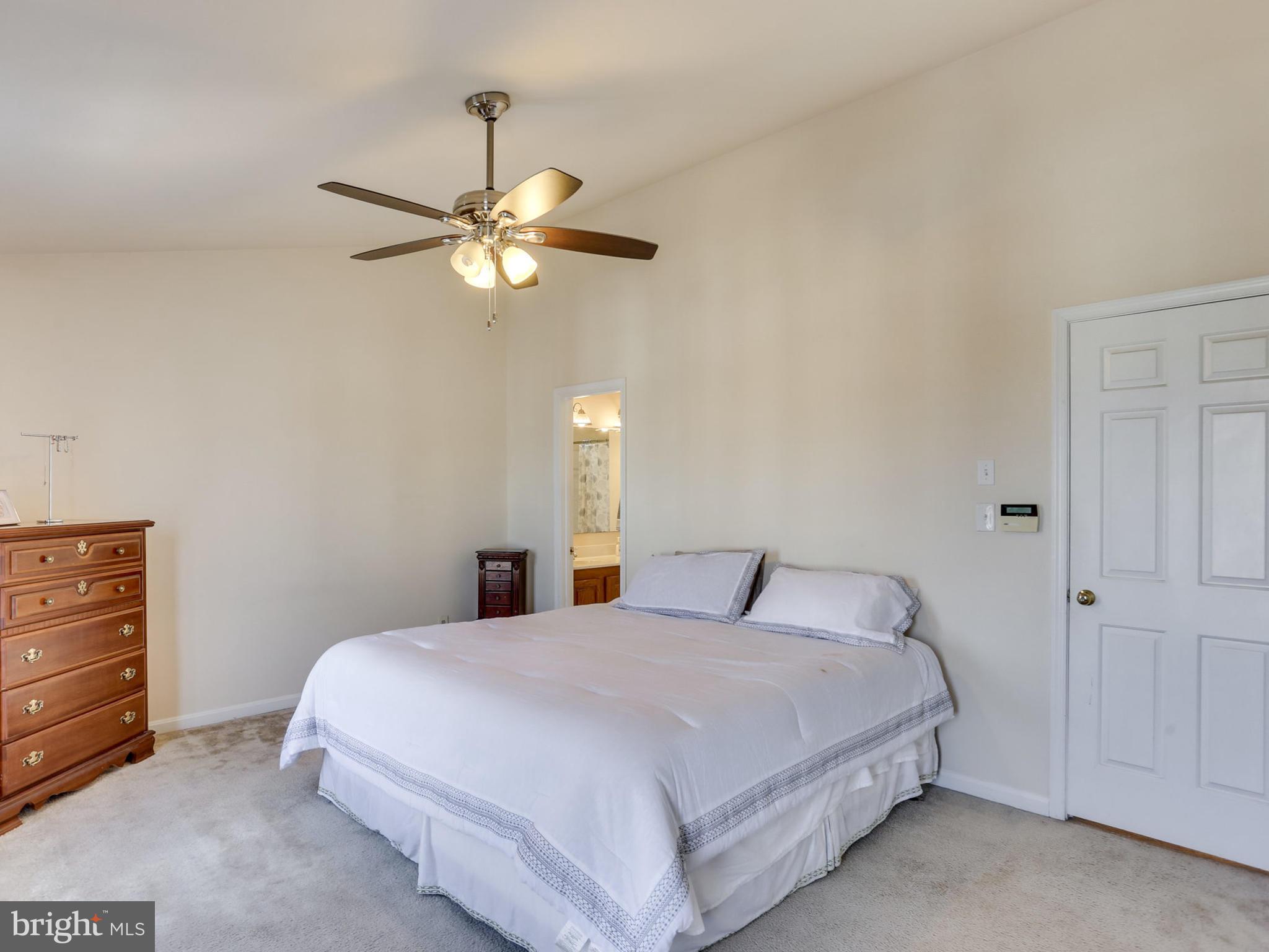 PARADISE - Residential