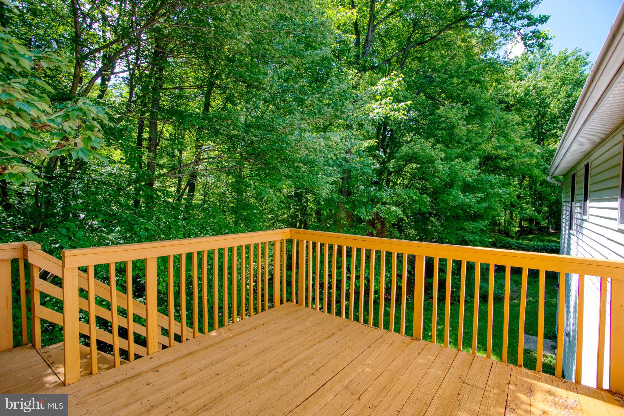 FORT WASHINGTON FOREST - Residential