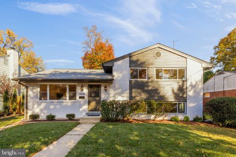 10223 LESLIE STREET SILVER SPRING MD 20902