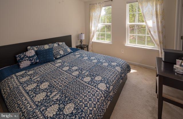 MAGNOLIA PARK AT WILDEWOOD - Residential