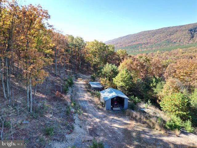 ELK HORN - Residential