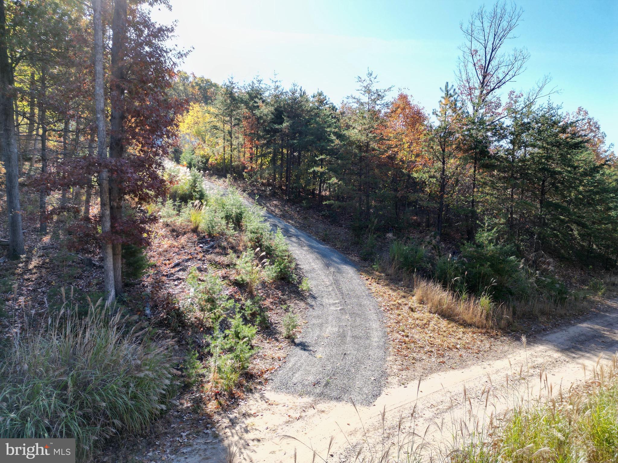 ELK HORN - Residential