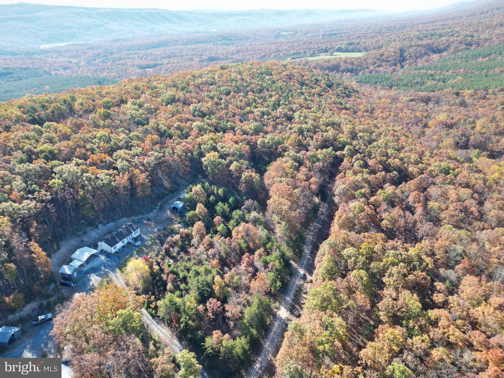 ELK HORN - Residential