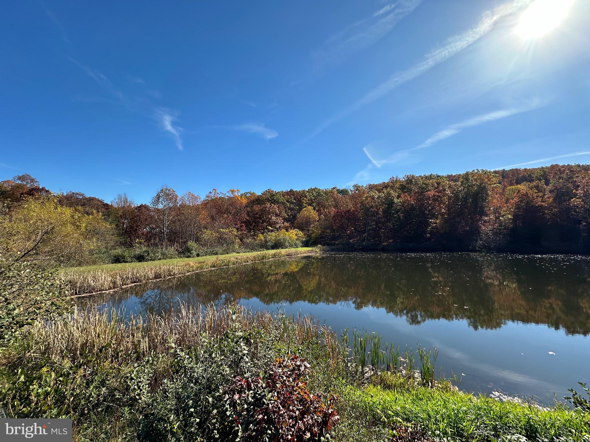 ELK HORN - Residential