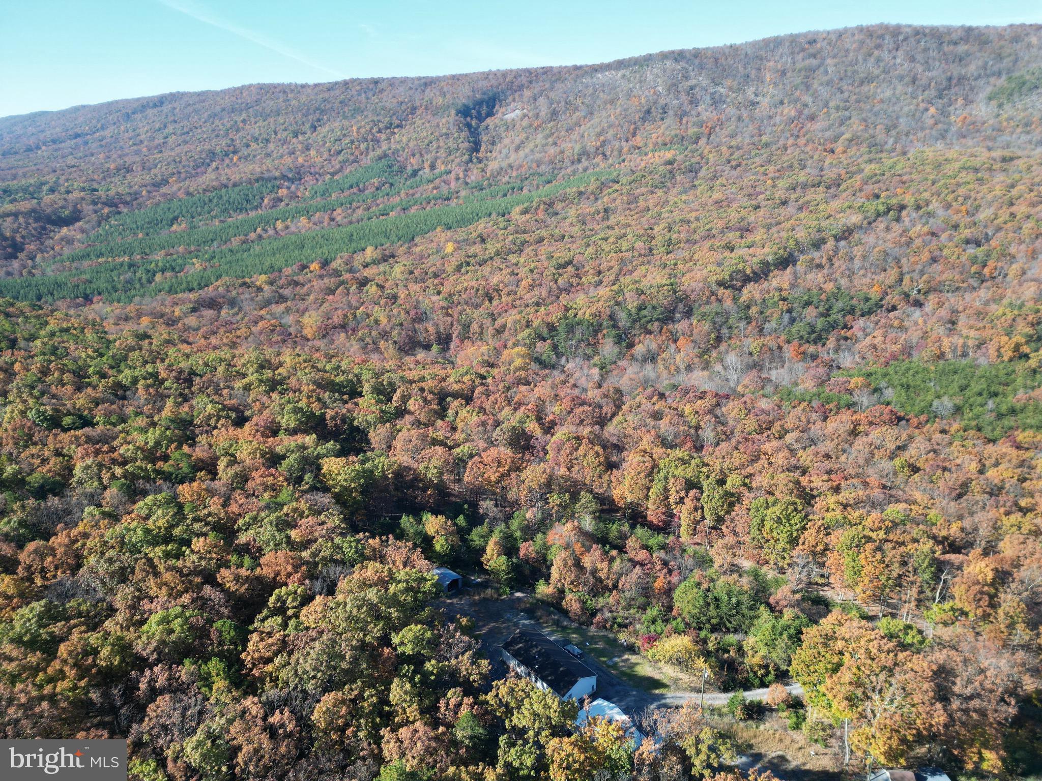 ELK HORN - Residential