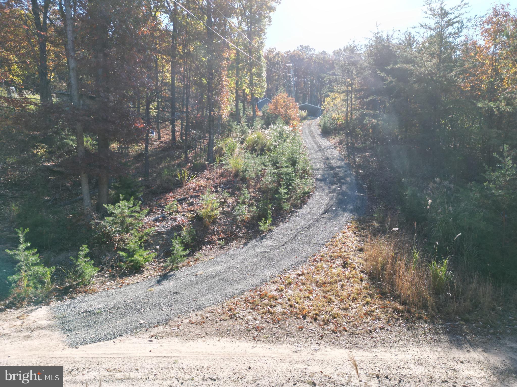 ELK HORN - Residential