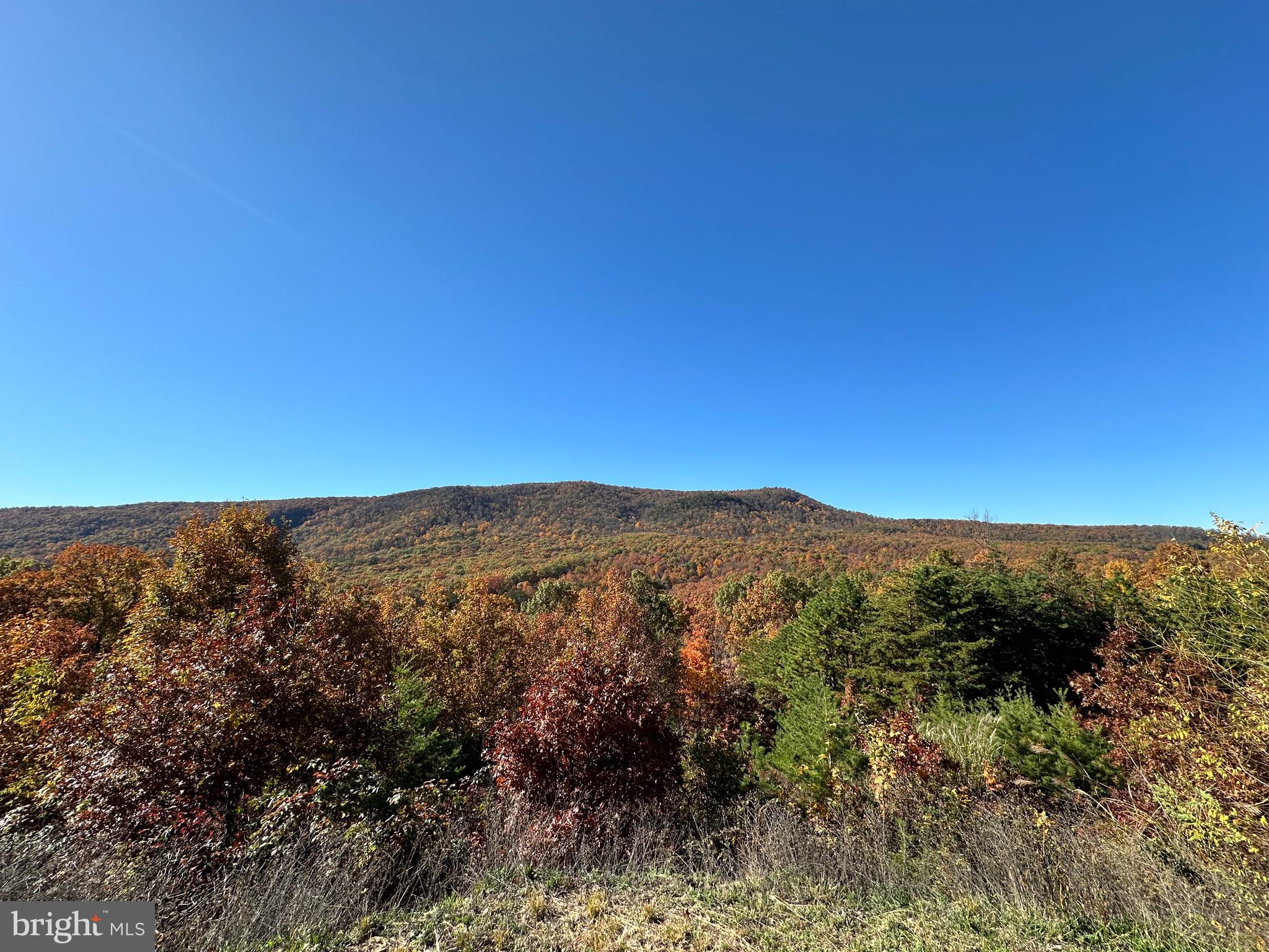 ELK HORN - Residential