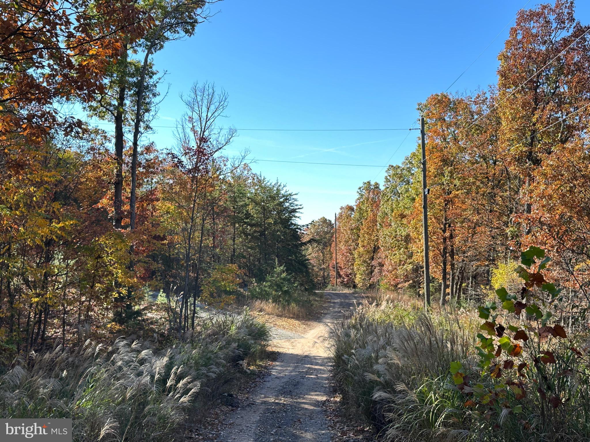 ELK HORN - Residential