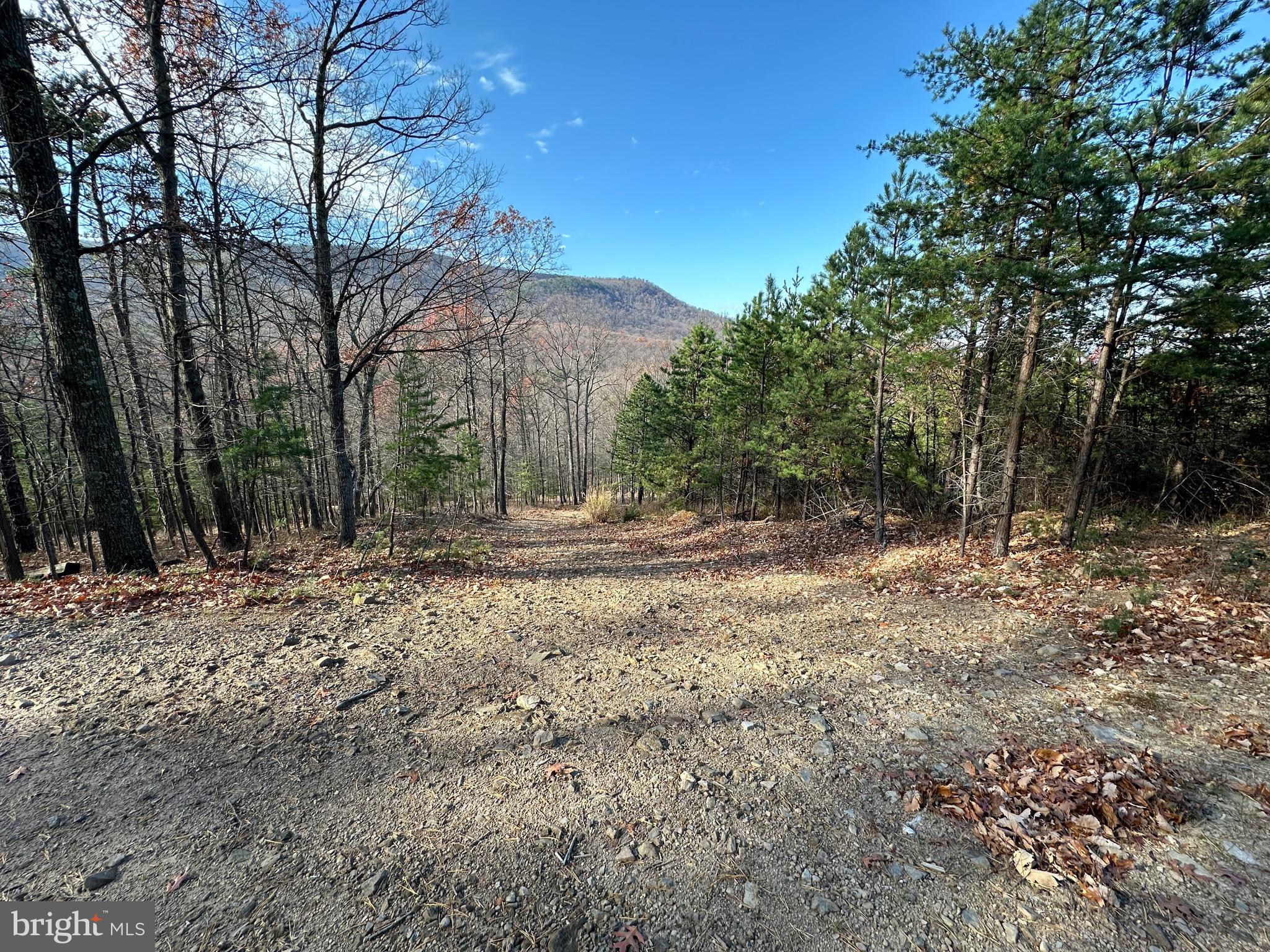 ELK HORN - Residential