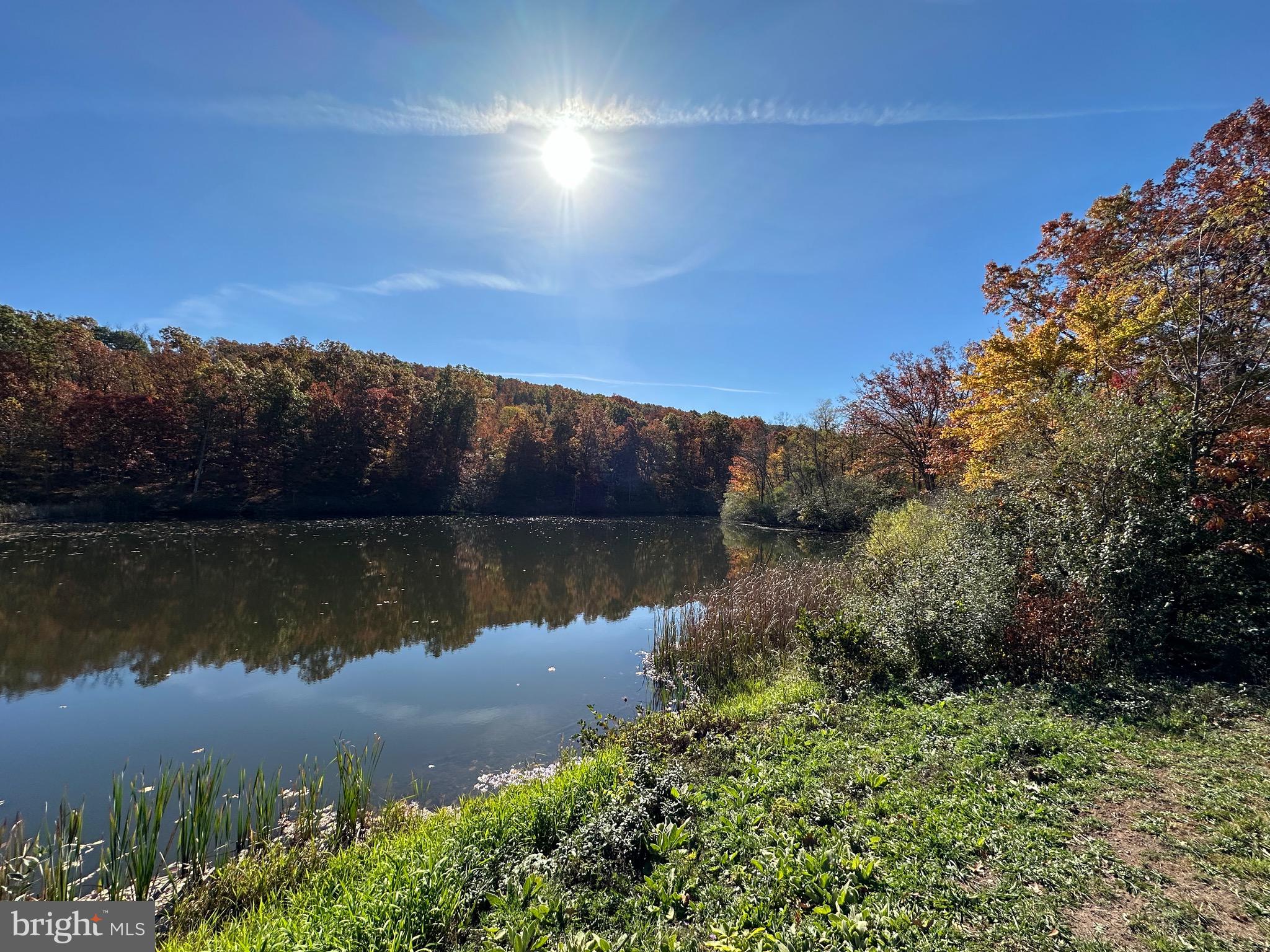 ELK HORN - Residential