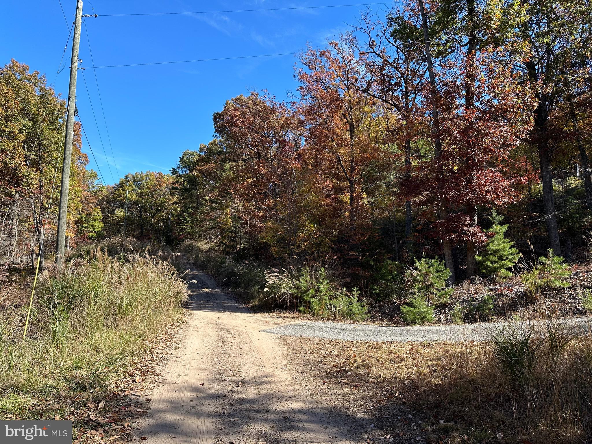 ELK HORN - Residential