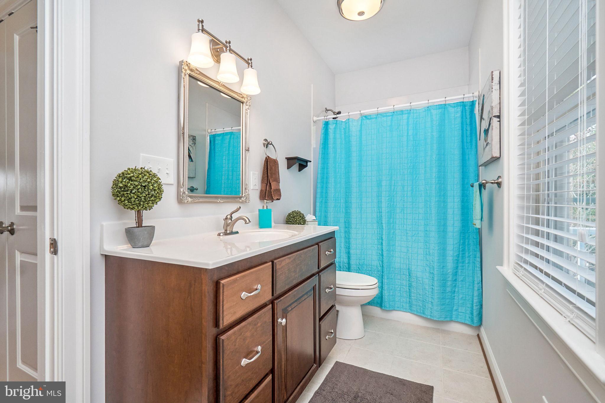 DANDY LOOP - Residential