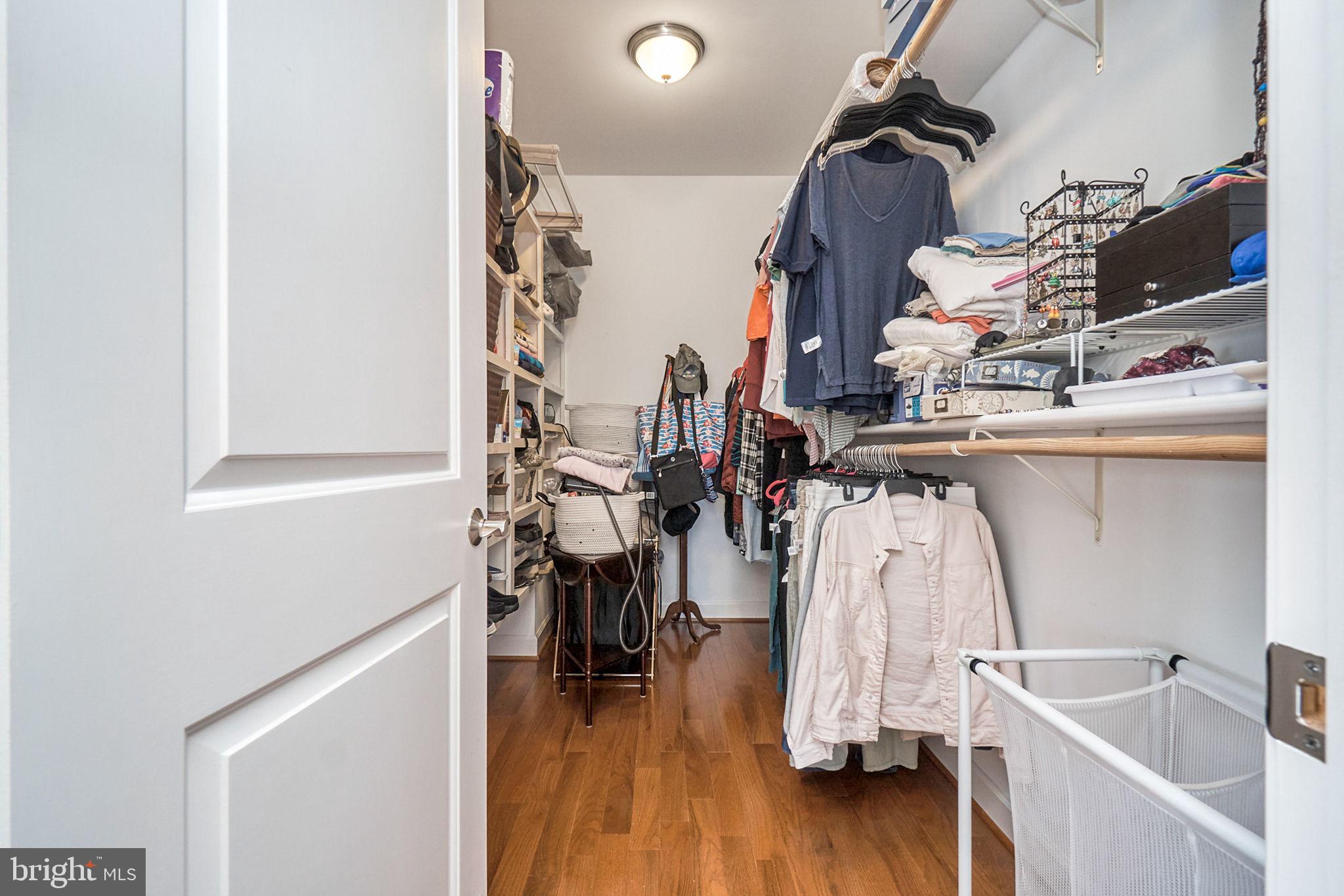 DANDY LOOP - Residential