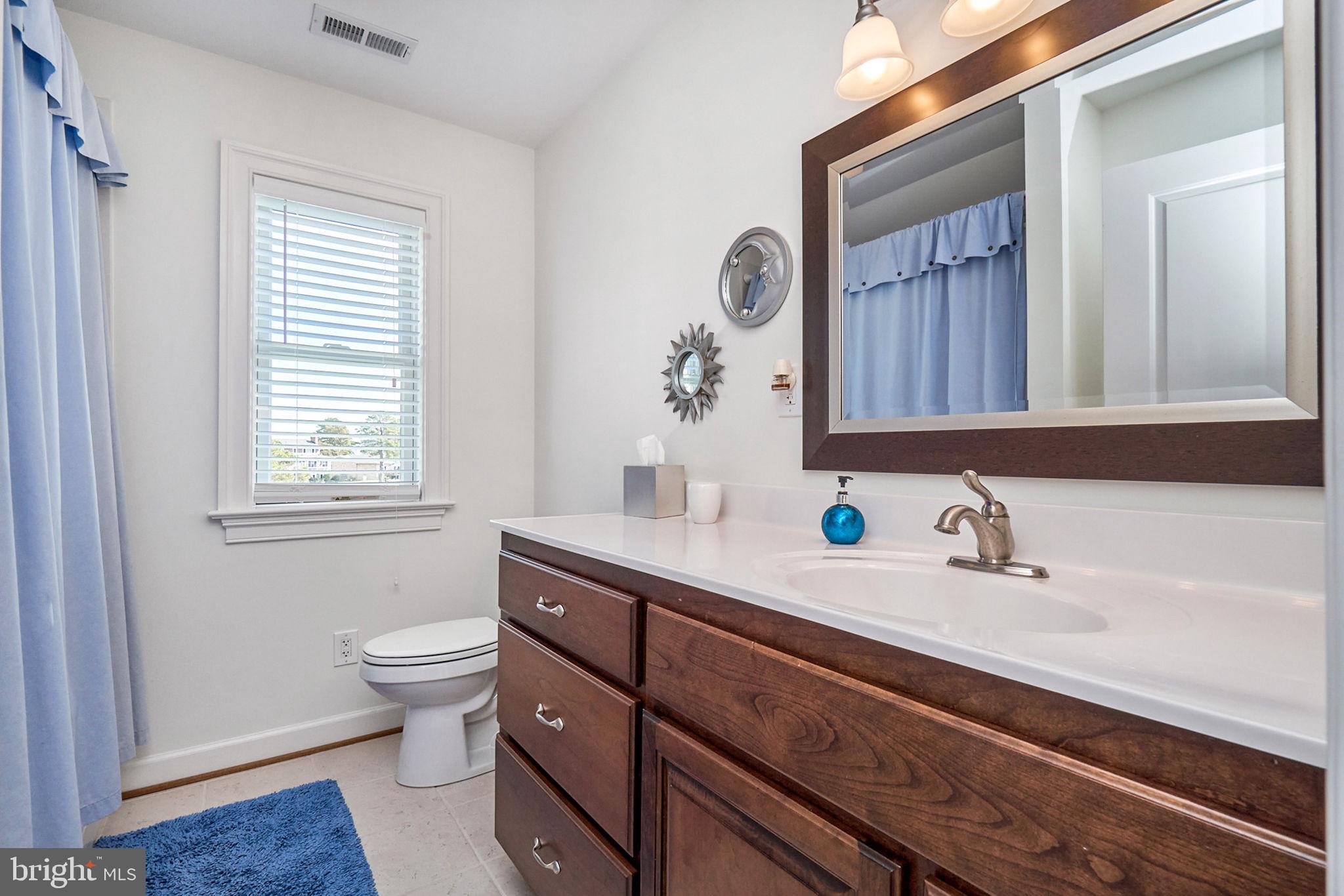 DANDY LOOP - Residential