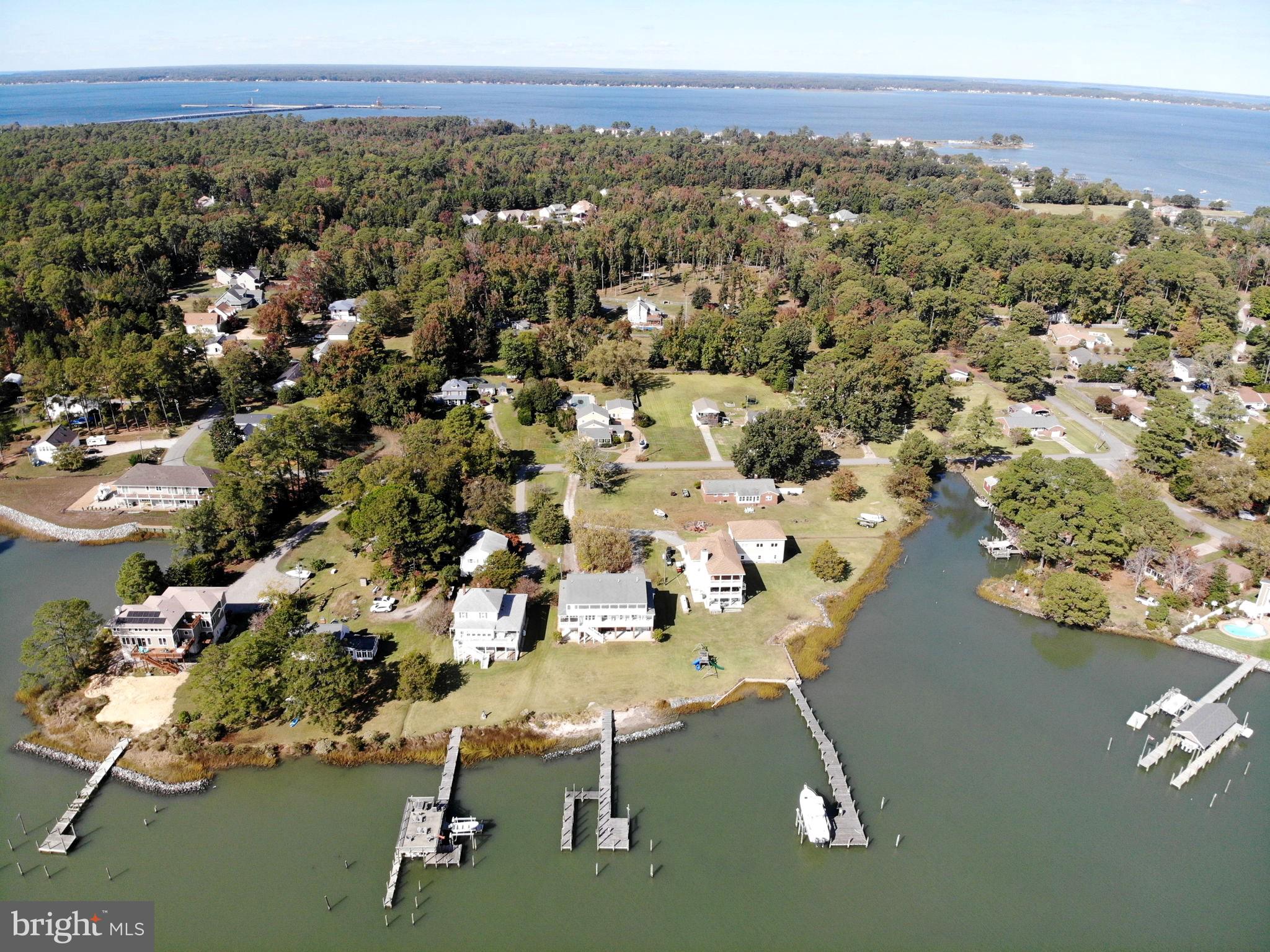 DANDY LOOP - Residential