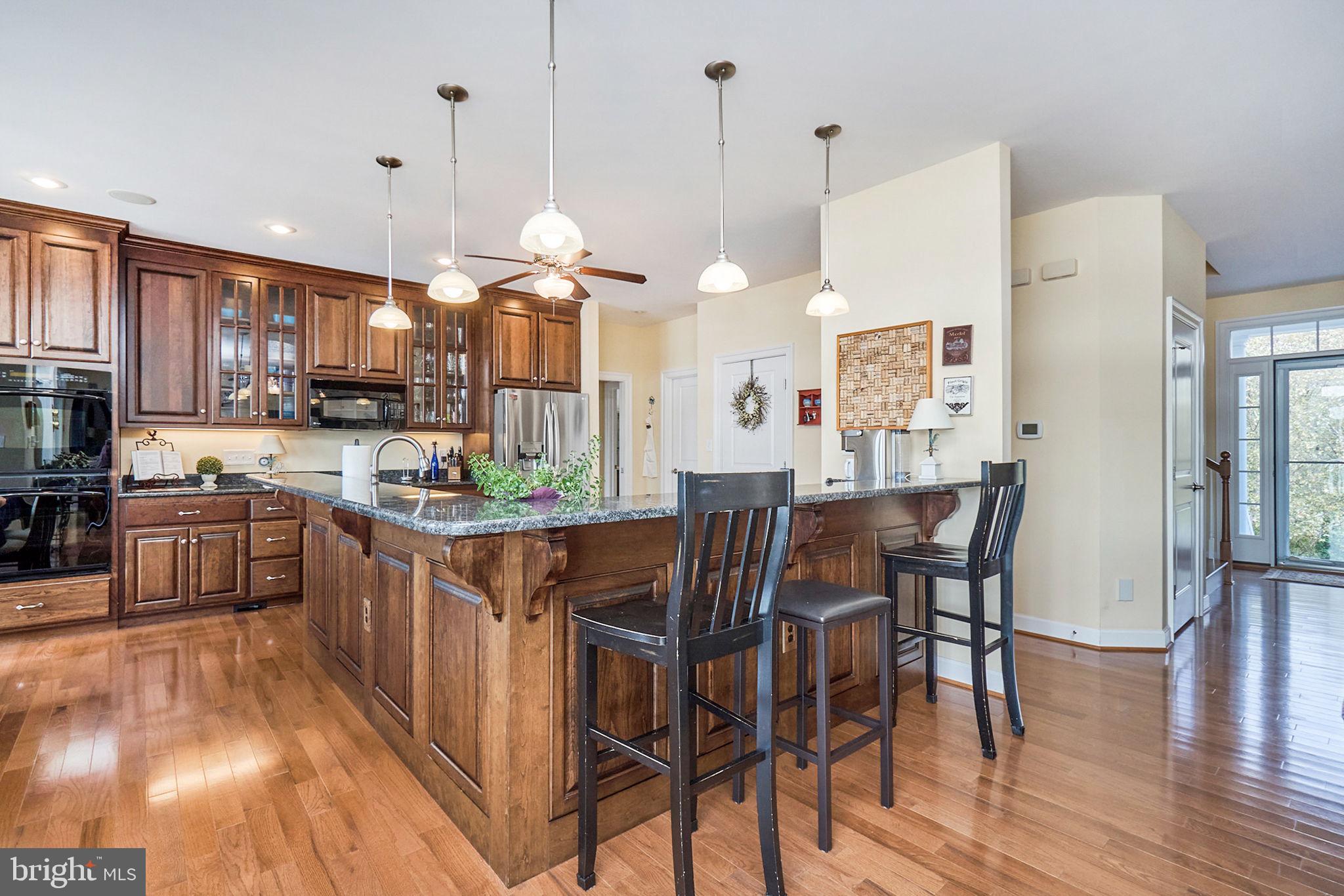 DANDY LOOP - Residential