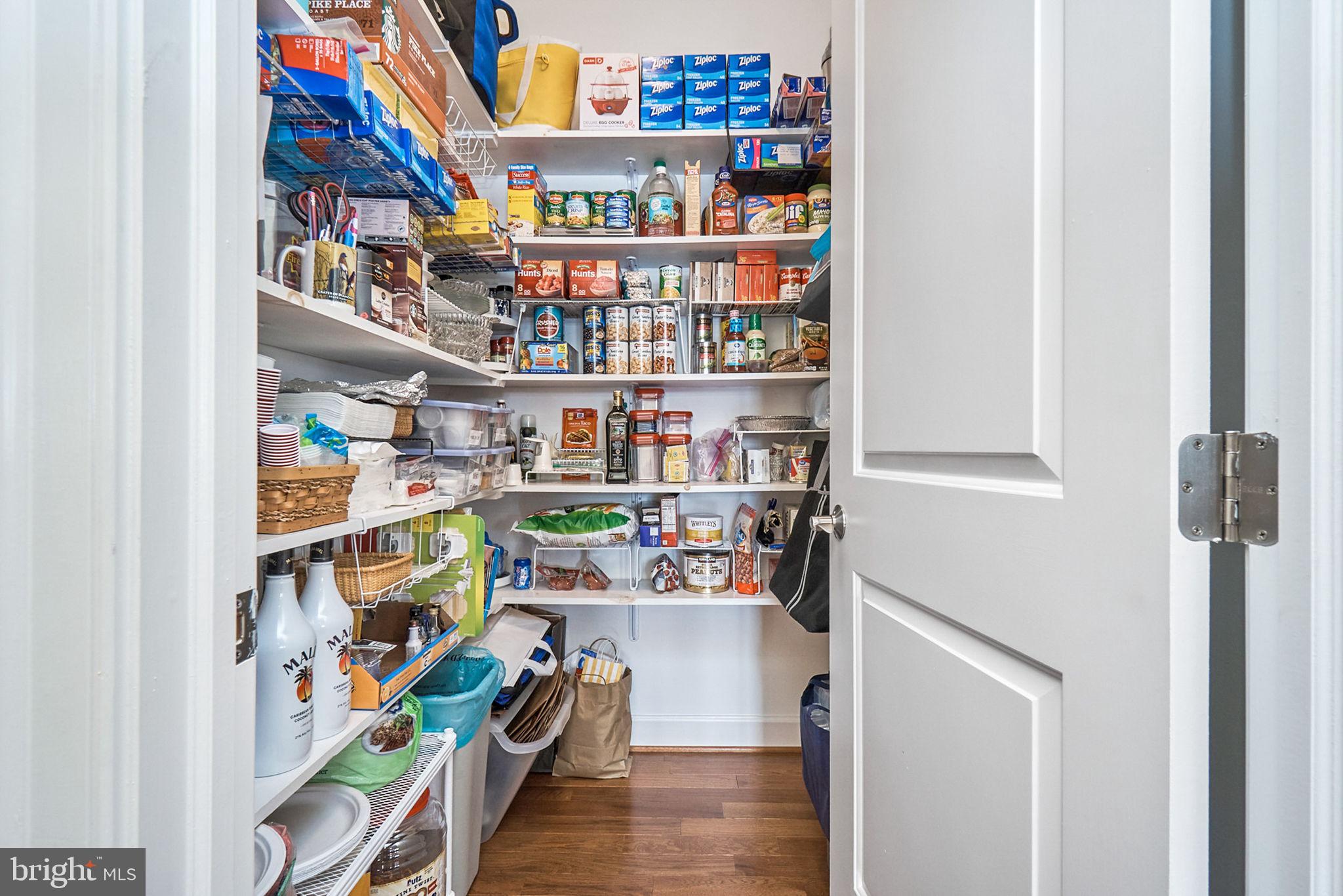 DANDY LOOP - Residential