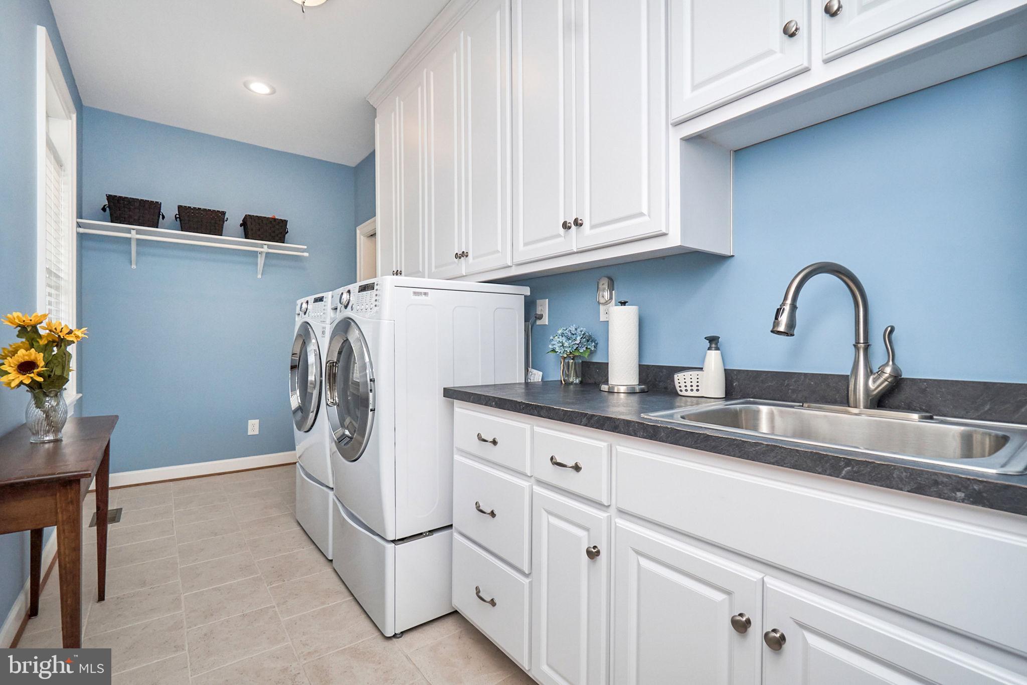 DANDY LOOP - Residential