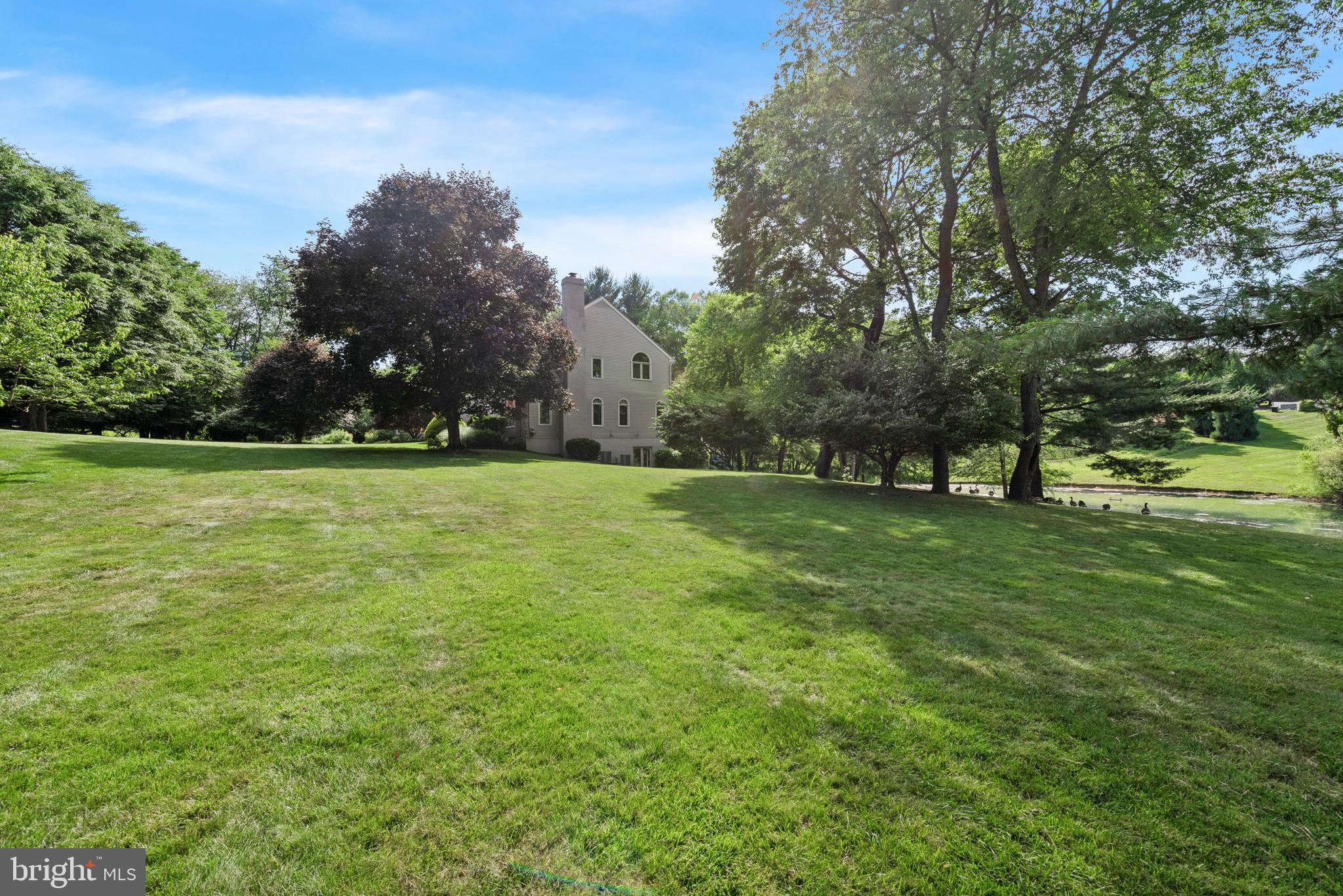 DEER POINTE - Residential