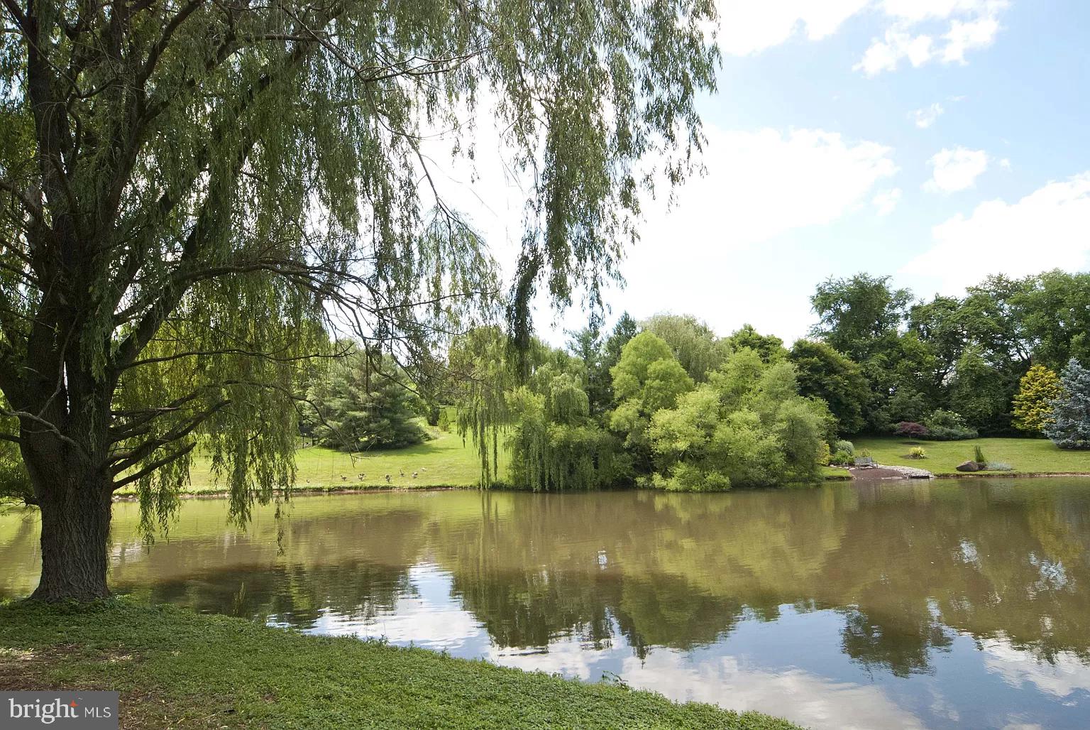 DEER POINTE - Residential