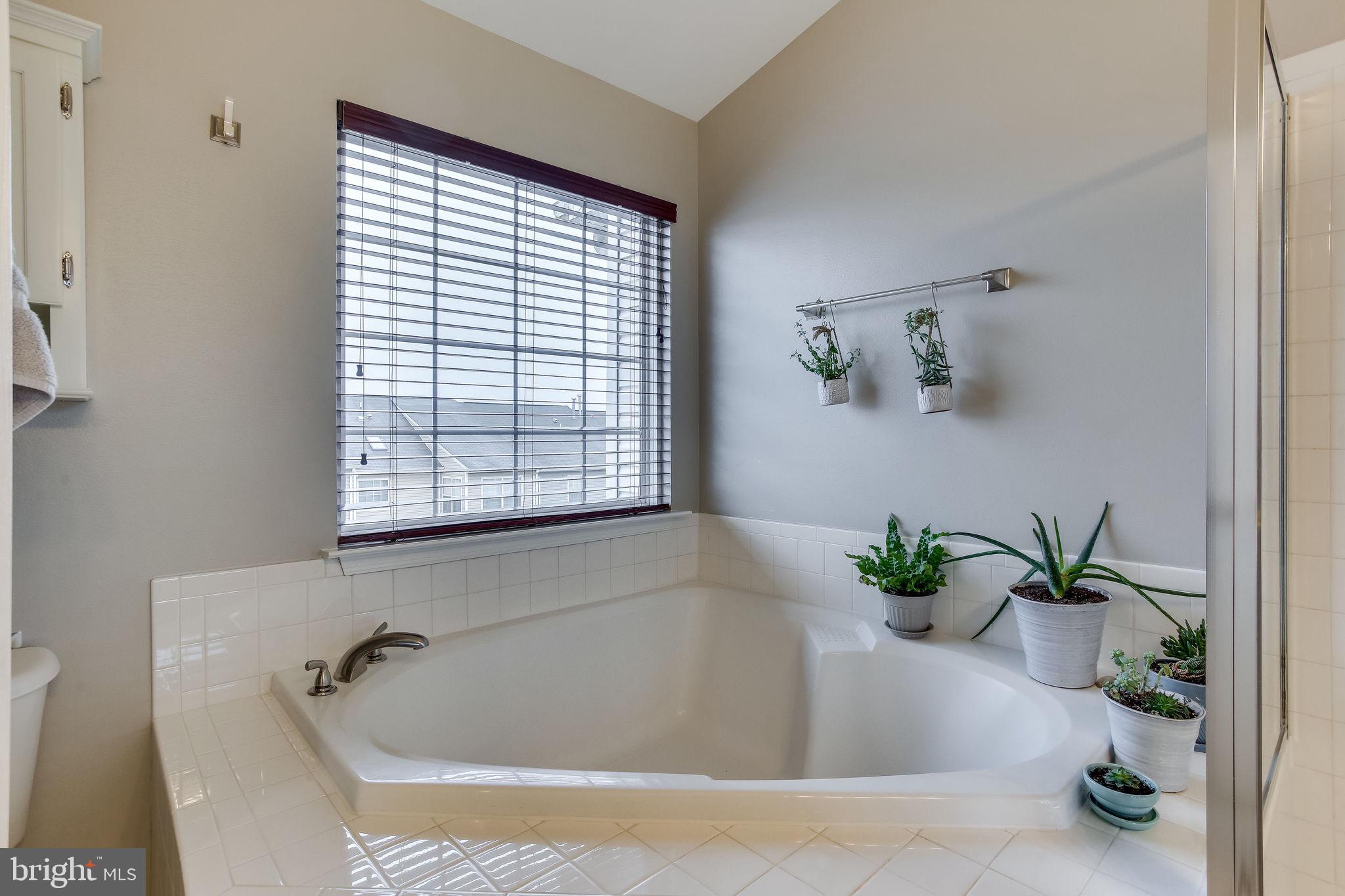 SPRING LAKES - Residential Lease