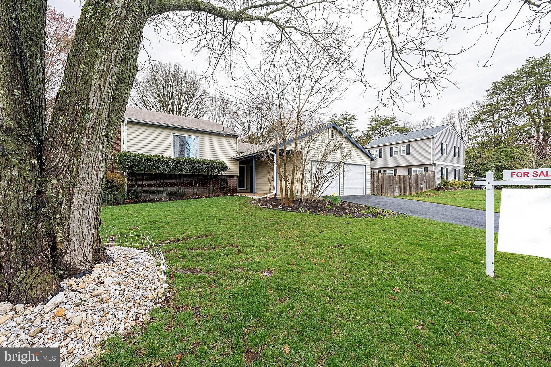 OAK TREE - Residential
