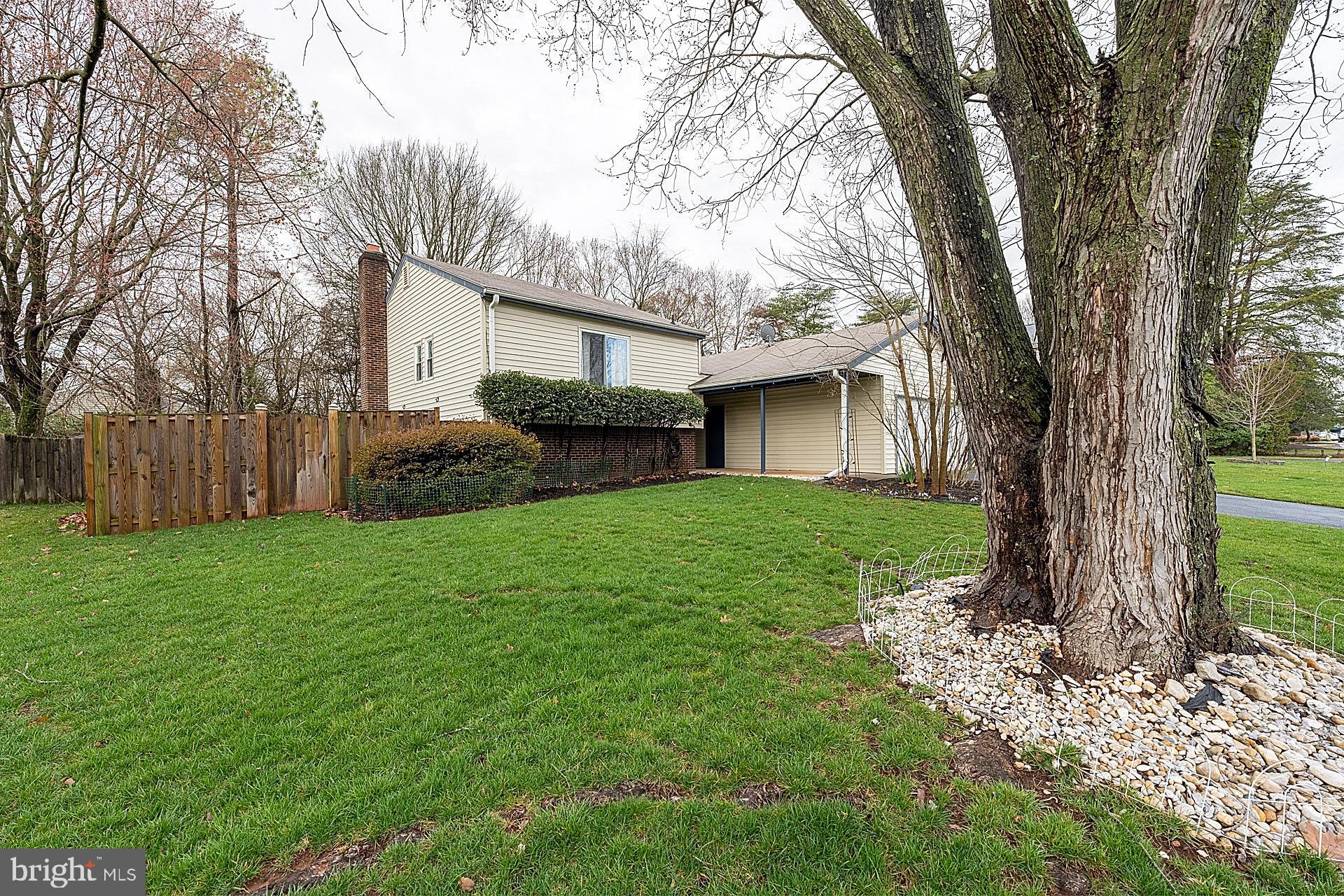 OAK TREE - Residential