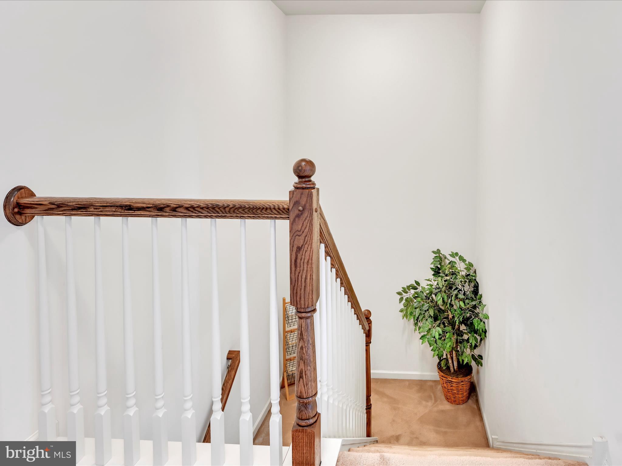 SUNNYSIDE - Residential