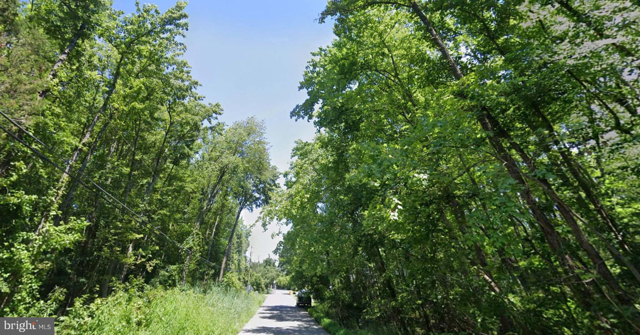 EVELYN GINGELL AVENUE