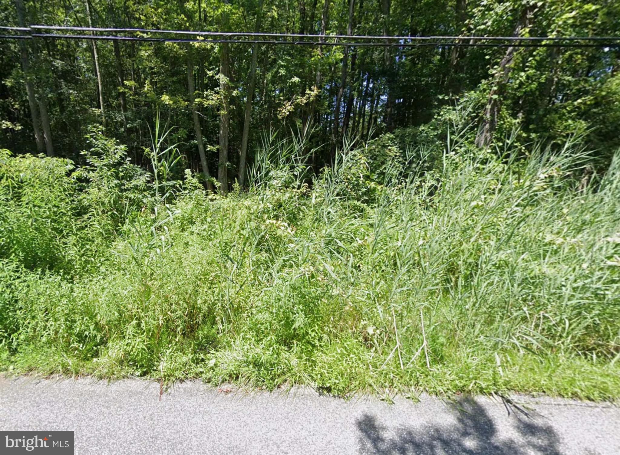 EVELYN GINGELL AVENUE