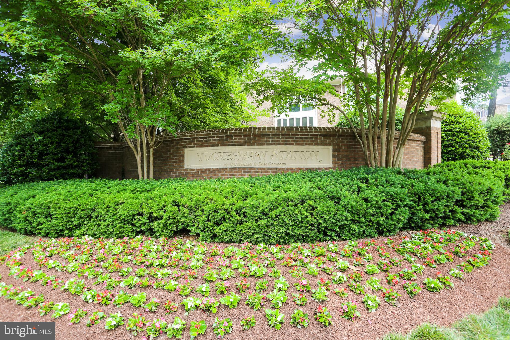 TUCKERMAN STATION CODM - Residential Lease