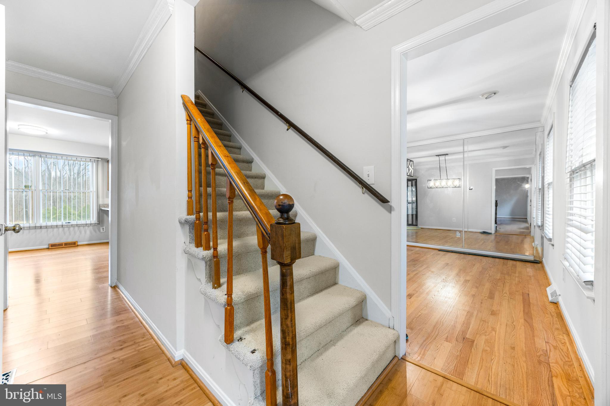 JONATHANS DELIGHT - Residential