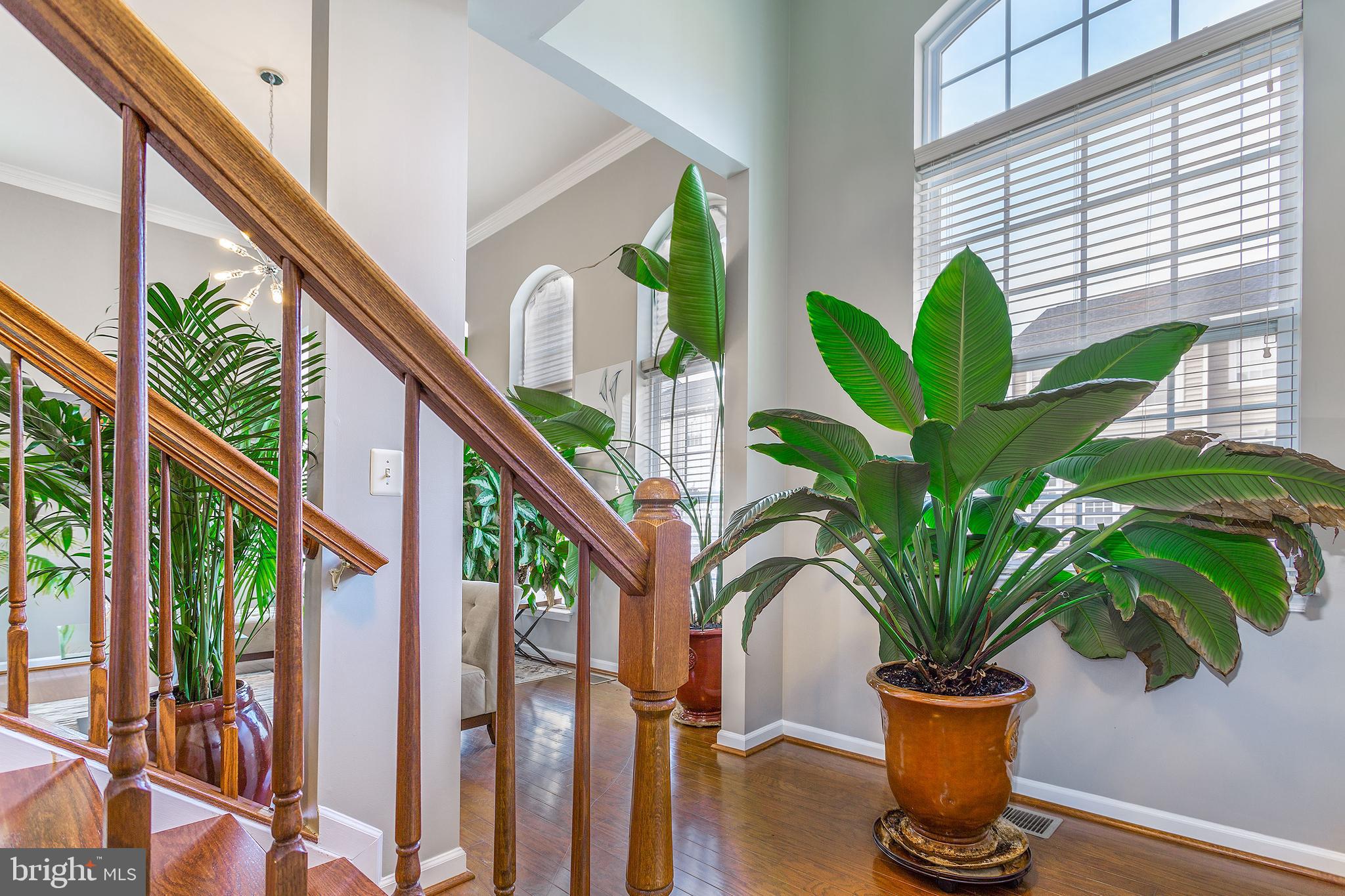 WATKINS PLACE - Residential