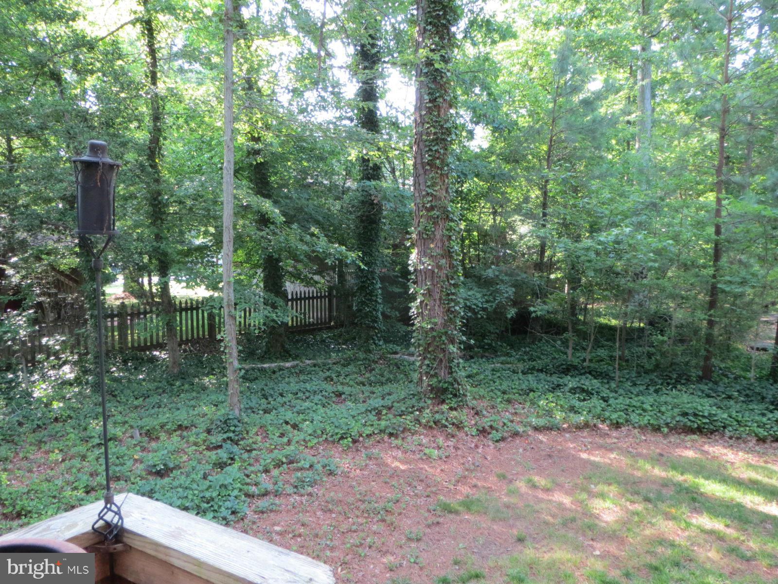 CEDAR COVE - Residential Lease