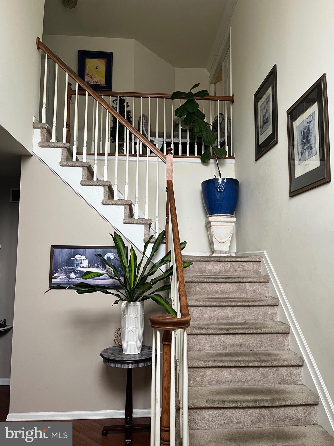 WILLOW RIDGE - Residential