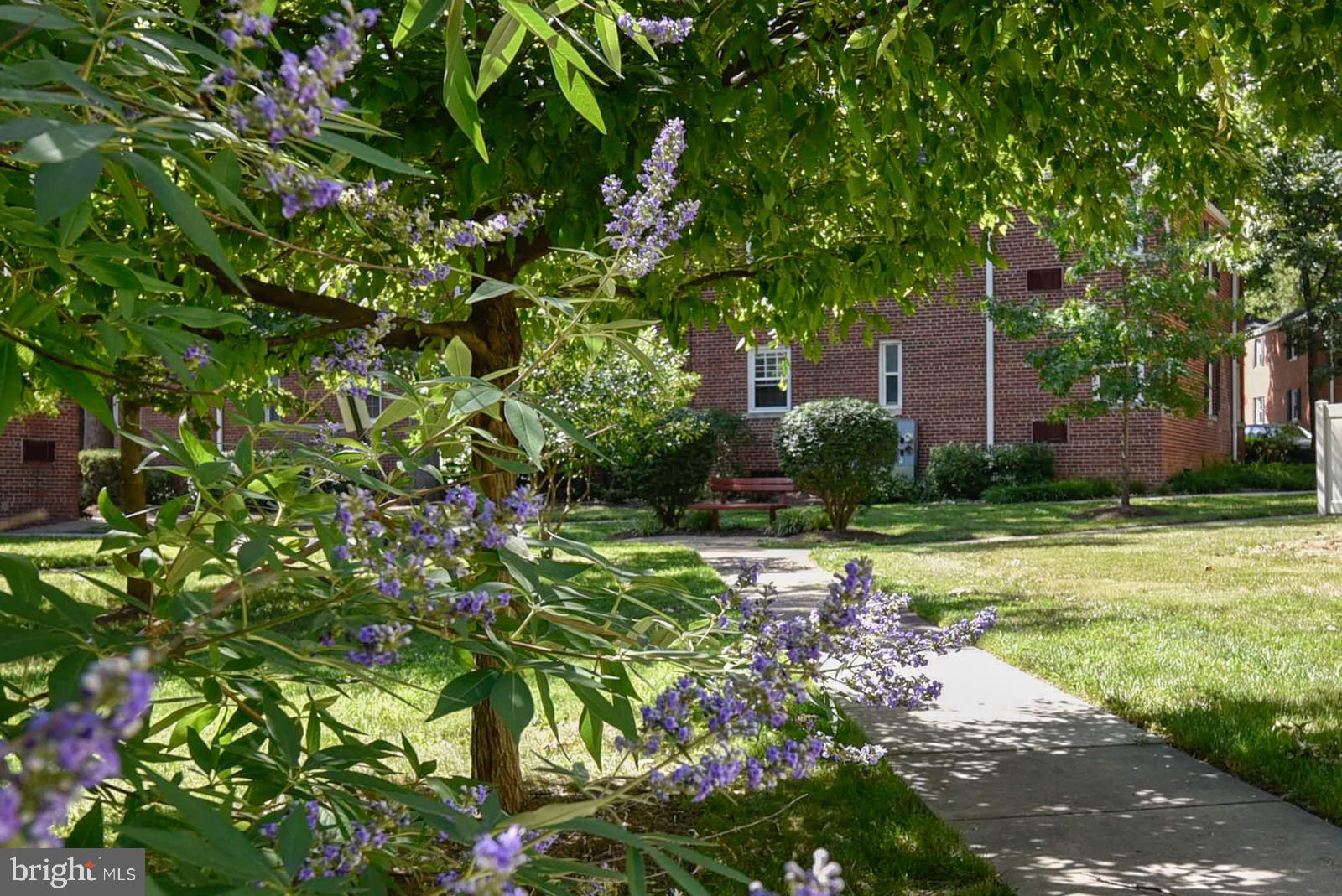 ARLINGTON OAKS - Residential Lease