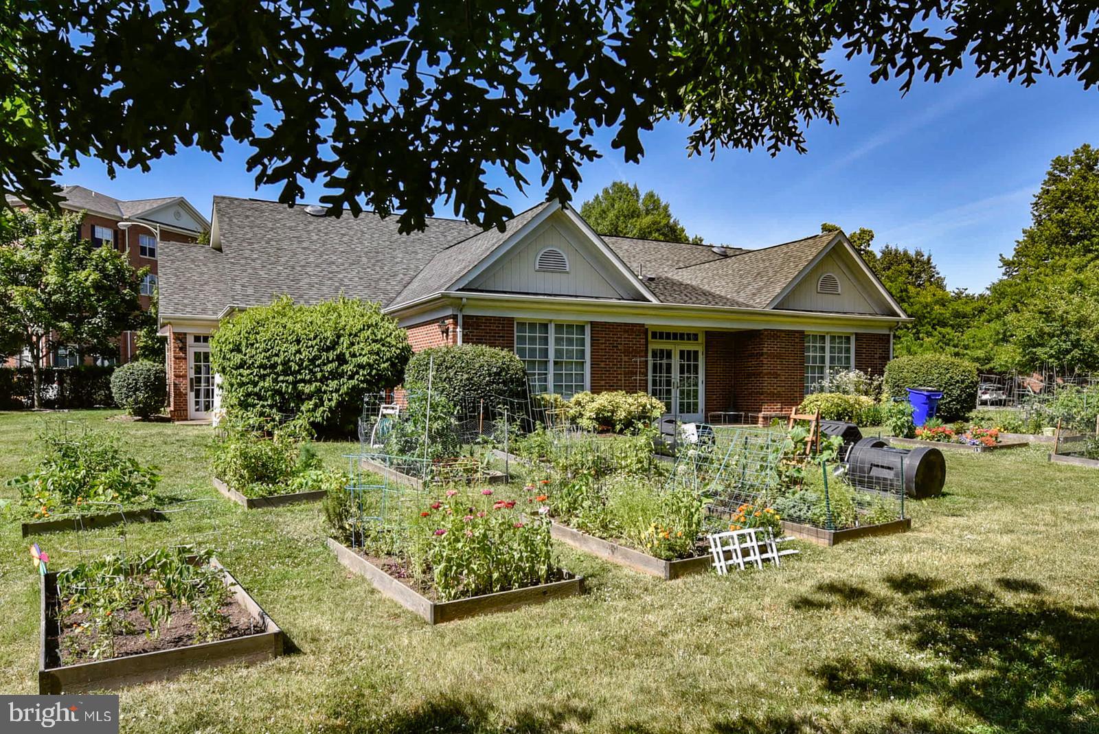 ARLINGTON OAKS - Residential Lease