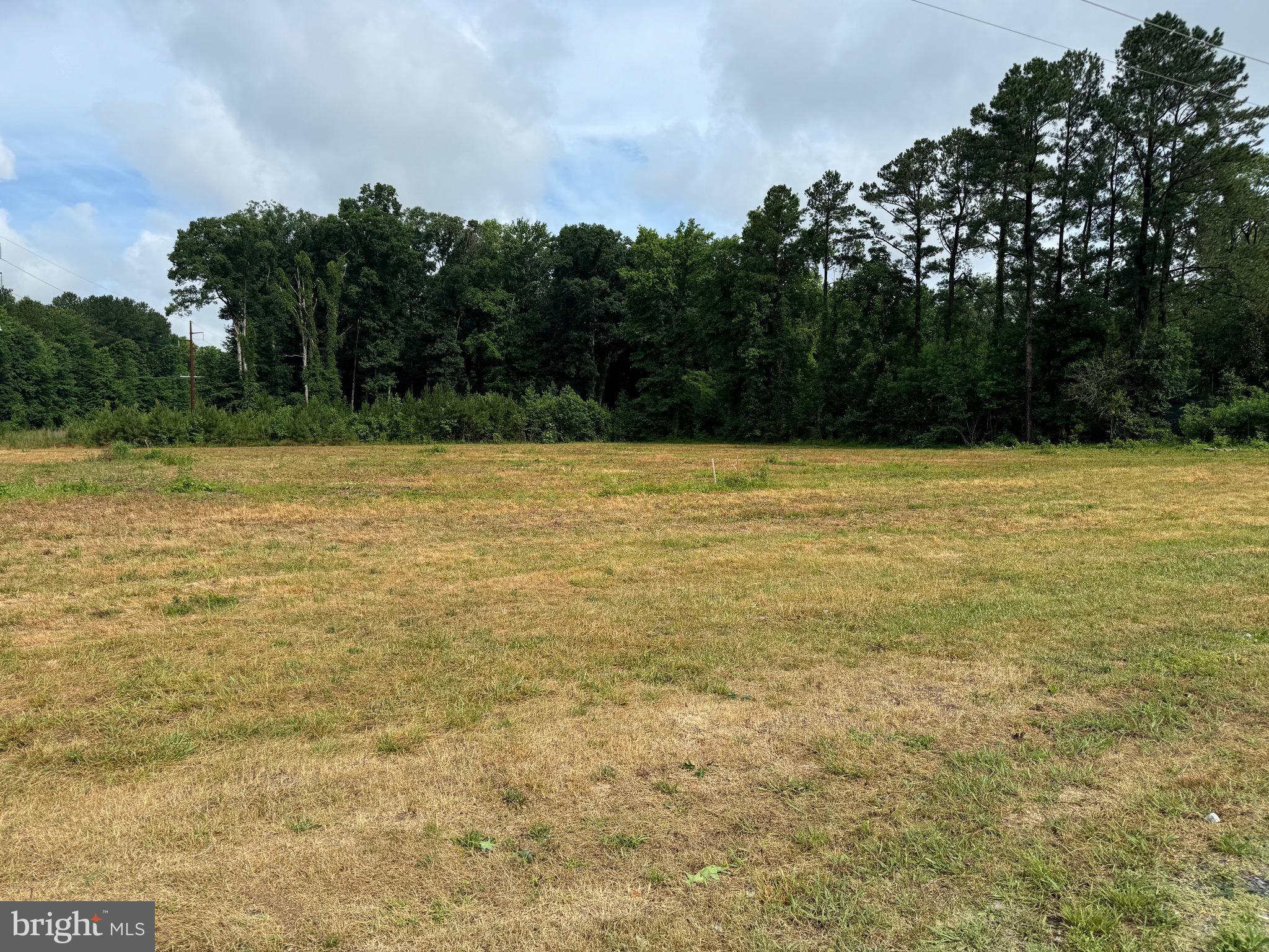 Looking for land to build on?? Drive by and take a look... this is a nice cleared 2.91 Acre lot just outside of Salisbury. Very Private and peaceful and backs to woods, but only few minutes out to Route 50. Build your dream home here and still have the conveniences of quick easy access into Salisbury! Perc completed in 2019.