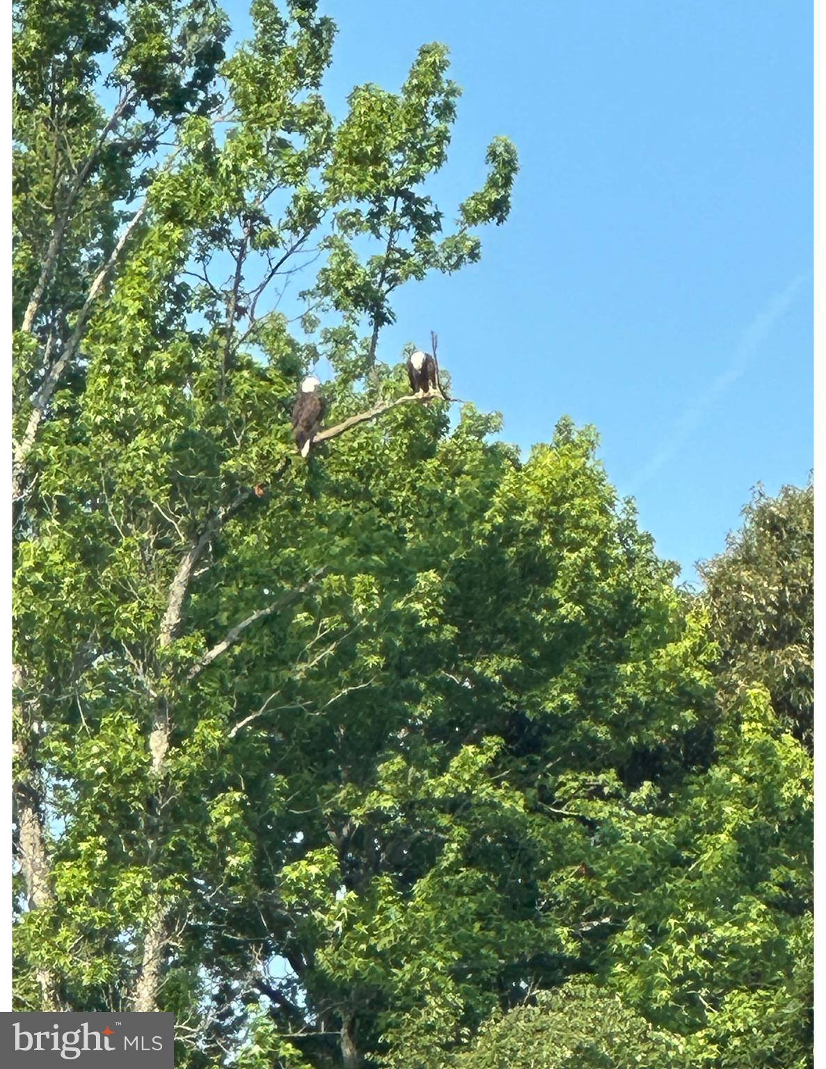 PRATT POINT - Residential